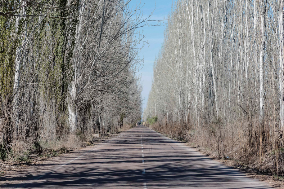 Caminhos de Mendoza